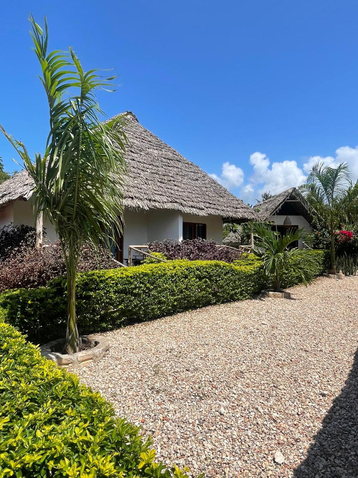 Kokopelli Bungalows Nungwi Eksteriør bilde