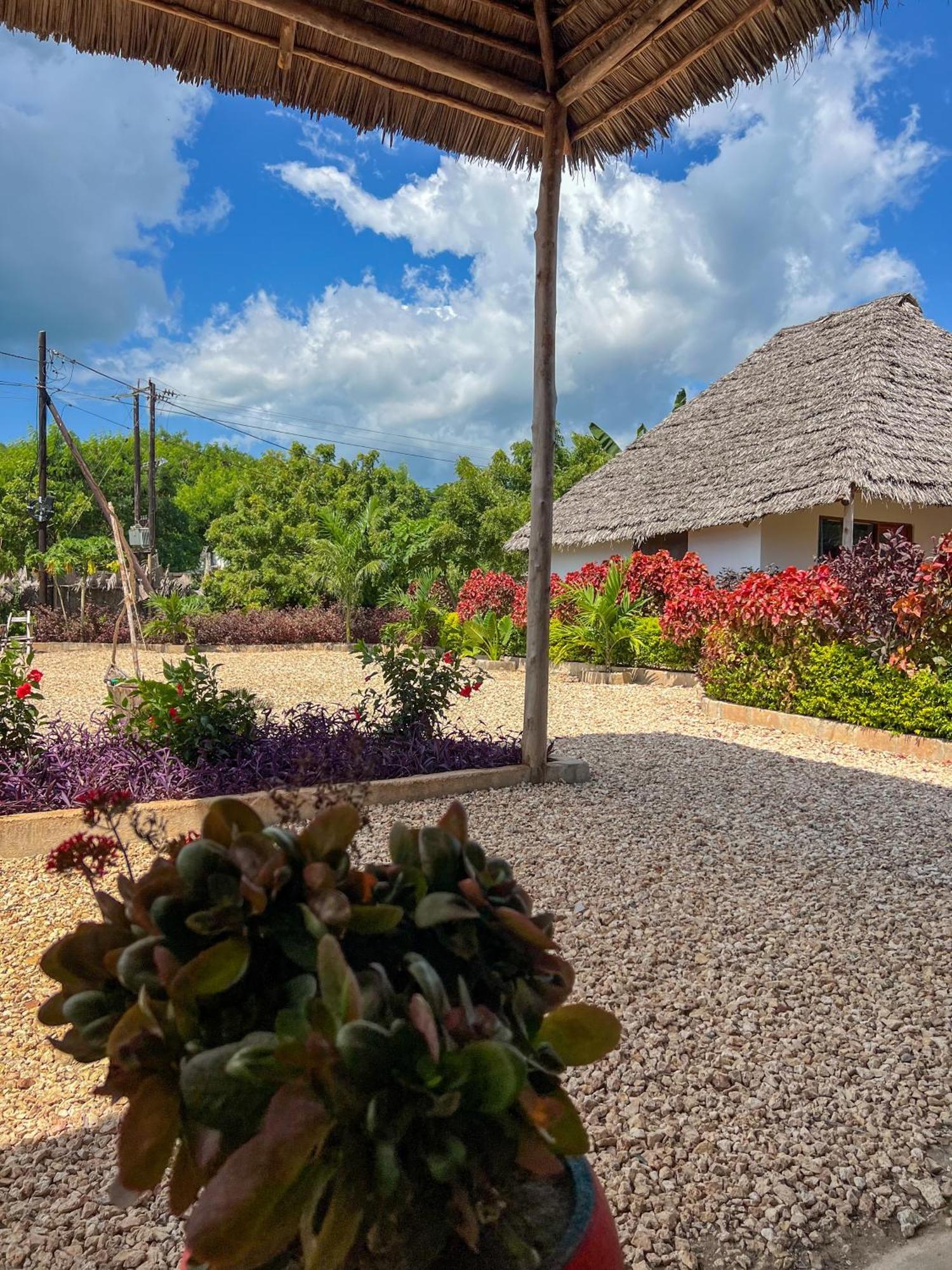 Kokopelli Bungalows Nungwi Eksteriør bilde